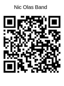 Donate and help support The Nic Olas Band
